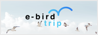 e-bird Trip