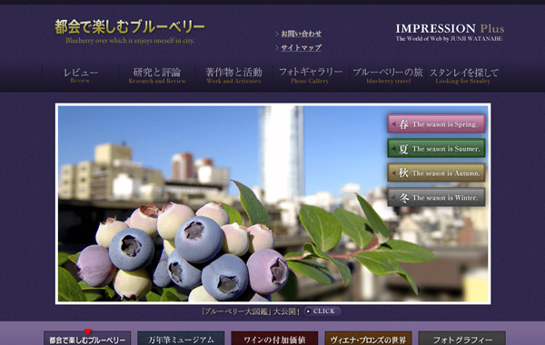 blueberrycity -Blueberry over Which it enjoys oneself in city -