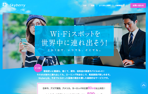 Skyberry　Service site